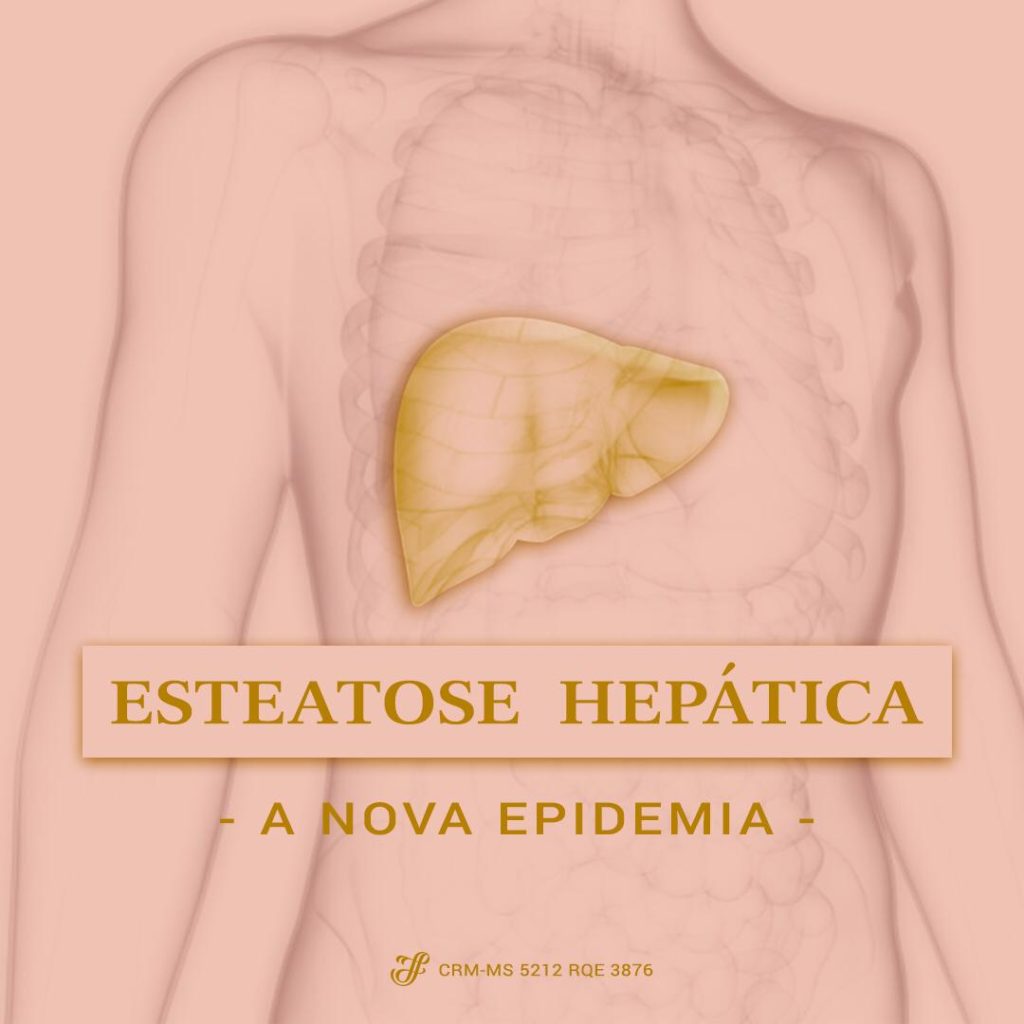 esteatose hepática